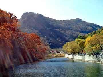 巨野县文化广电体育和旅游局最新项目概览与动态分析